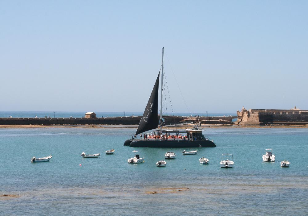 Puravida en la Caleta Cadiz
